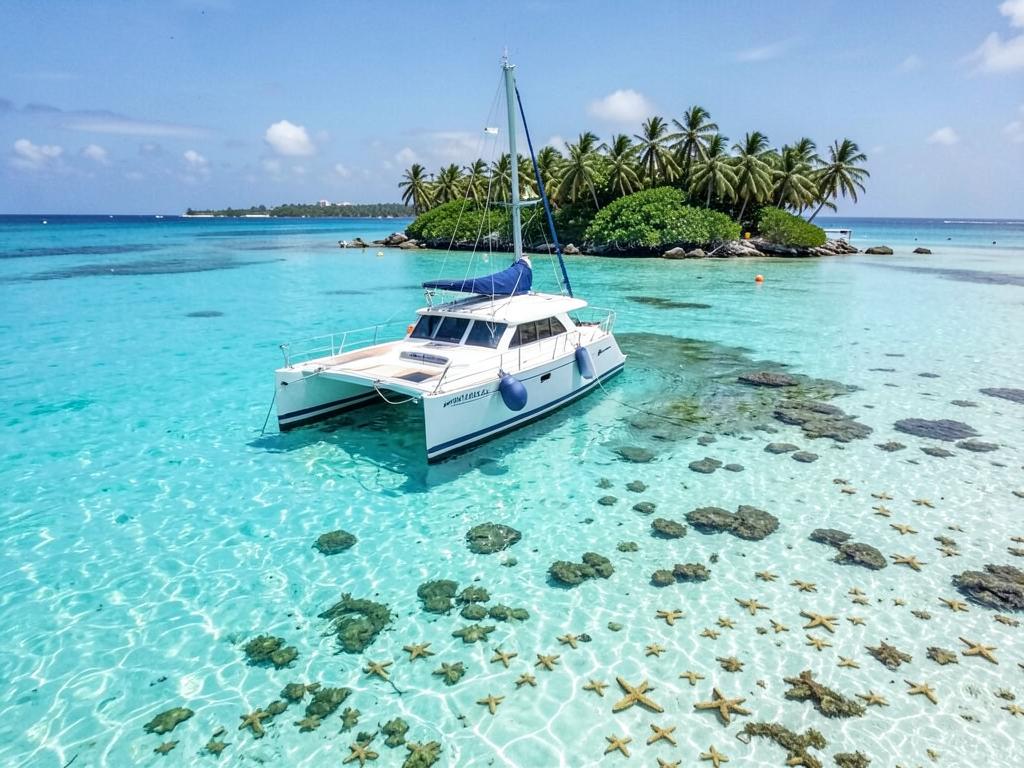 Isla Saona